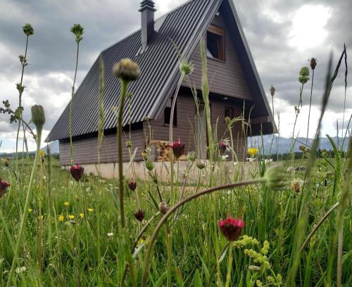 Zabljak Ski Chalet | Brown cabin