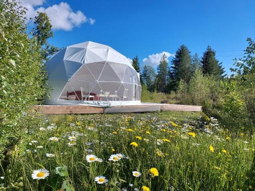 Kose Other | Bubble House glamping telk