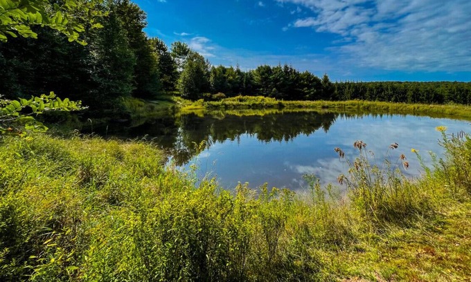 Bloomville House | Bucolic 3BR home with Guest Cabin and Pond on 20+ Acres of Sublime Privacy