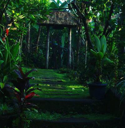 Payangan House | bucu hidden guest house, and meditation center