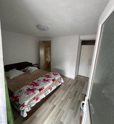 Curtea De Arges House | Budan 3 Rooms