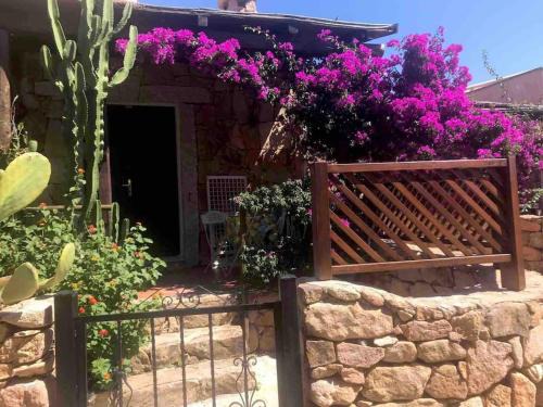 Porto Pollo House | Buganvillea Cottage: un nido a 200 mt. dal mare