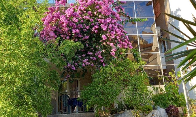 Podmaine Apartment | Bugenvilija