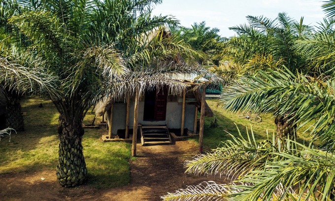 Bugala Island Bed & Breakfast | Bugoma sand beach resort hotel