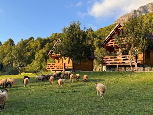 Shkoder County House | Bujtina Pepushaj Lepushe
