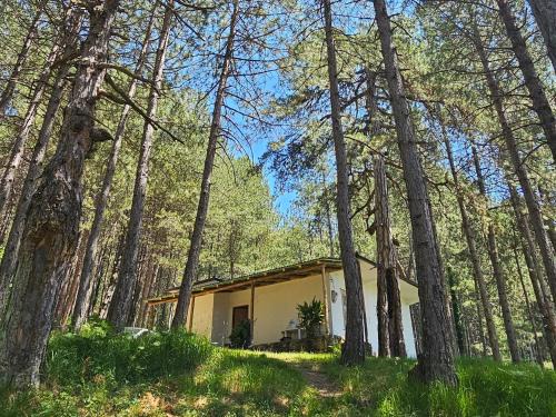 Elbasan House | Bujtinat Skenderi Gjinar 2