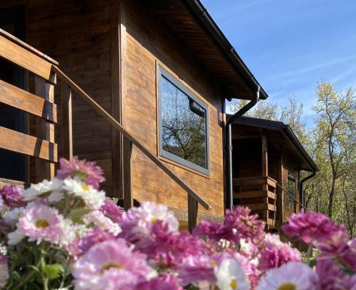 Baile Olanesti Other | Bungalouri Olanesti