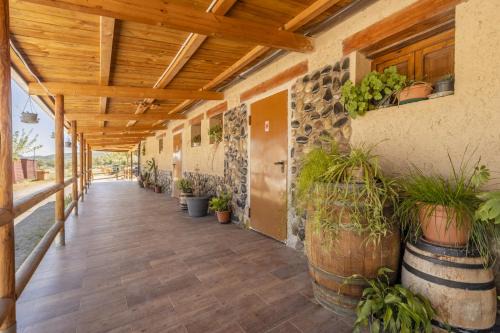 Alos de Balaguer Resort | Bungalow Alós