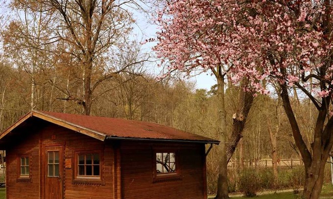 Neubrandenburg House | Bungalow House C1 - Schullandheim