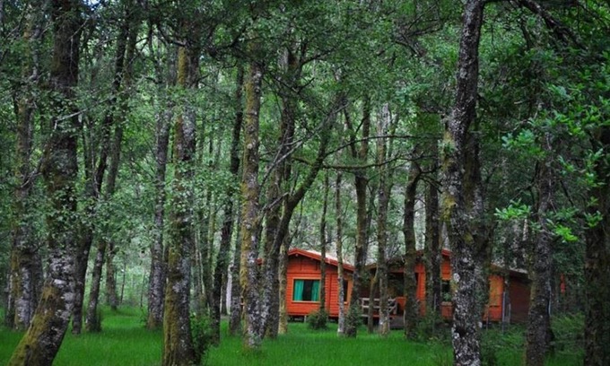 Melgaco House | Bungalows da Peneda 3 - Peneda-Gerês National Park