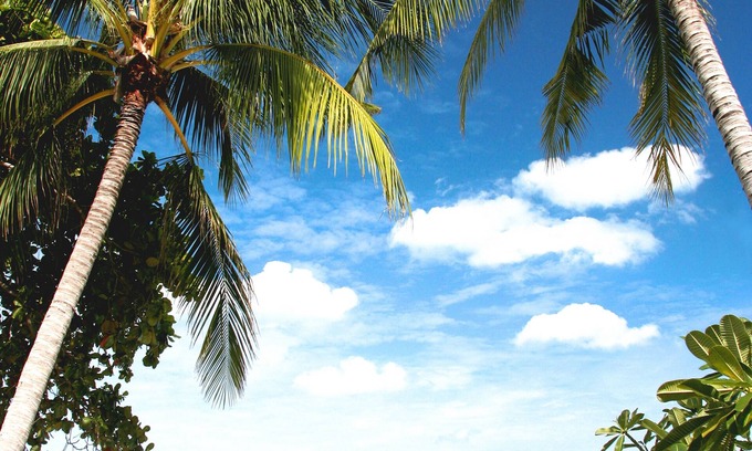Chaweng City Center Resort | Buri Rasa Village Samui Adults Only