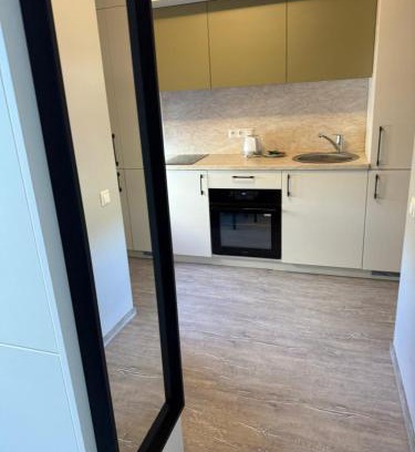 Snipiskes Apartment | butas apsilankymui vilnius