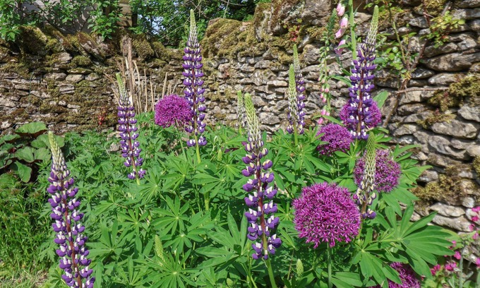 Lockton Cottage | Bute Cottage