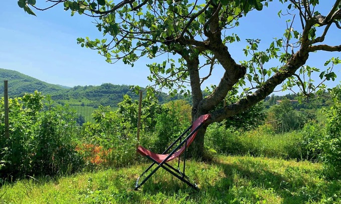 Nerbisci Bed & Breakfast | Butteflies Rest