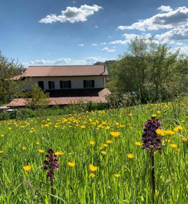 Nerbisci Bed & Breakfast | Butterflies Rest