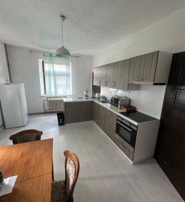 Vejprty House | Bytový dům na horách