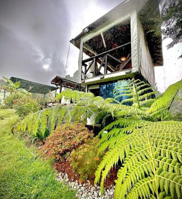 Guarne Apartment | Cabaña Blanca Cielo Abierto