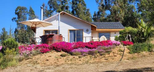 San Antonio House | CABAÑA DE CAMPO