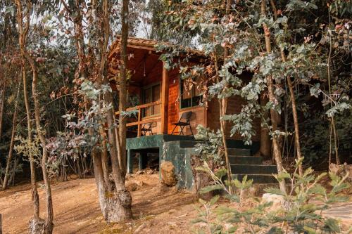 Suesca Other | Cabaña Tipo Glamping Savieza Life Experience