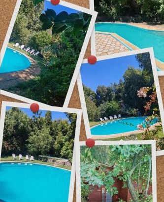 Bajos de Lircay Hotel | Cabañas Hosteria de Vilches