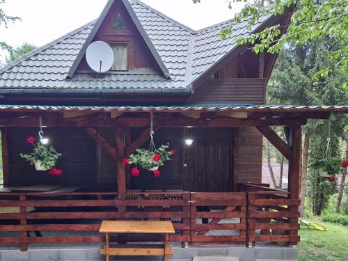 Sovata House | Cabana Anita