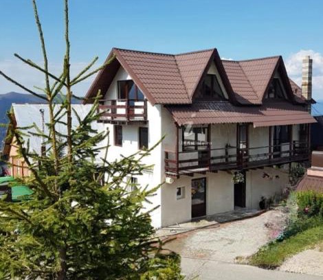 Lupeni Cabin | Cabana Antonia