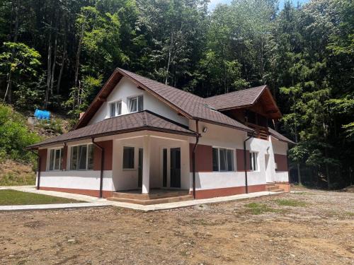 Calimanesti Cabin | Cabana Cascada Lotrisor