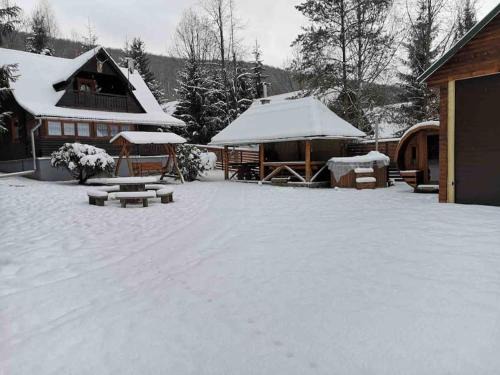 Zetea House | Cabana Cerbul de Aur Sub Cetate (Lacul Zetea)