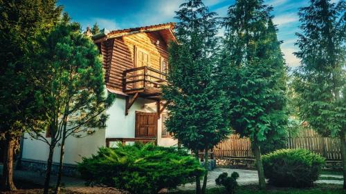 Vetel House | Cabana dintre Brazi
