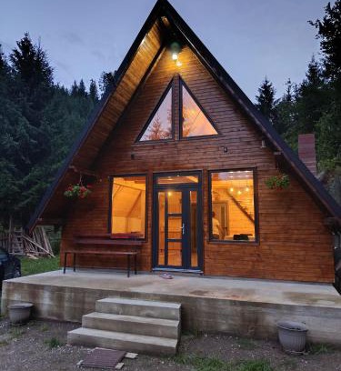 Damuc House | Cabana Doi Brazi A-FRAME