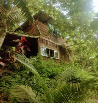 Trindade Cabin | Cabana Ecológica Trindade Paraty