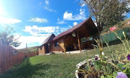 Aschileu Mare Cabin | Cabana Fodora