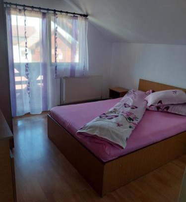Risca Cabin | Cabana Ioana Balas