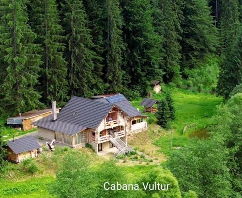Vatra Moldovitei Cabin | Cabana Vultur