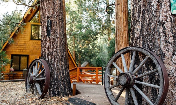 Fern Valley Cabin | Cabin ∙ 1 bedroom ∙ 2 guests
