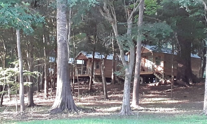Fort White Cabin | Cabin 2 Bowman's Landing on Santa Fe River