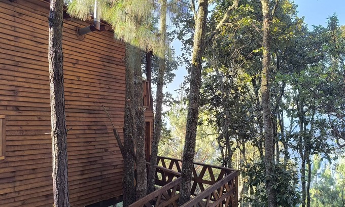 San Jose del Pacifico Cabin | Cabin in San Jose del Pacifico Forest 5