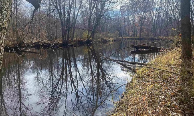 Sumner Cabin | Cabin on Pine River-Sleeps 5
