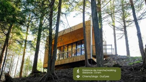 Eastman House | Cabin Zoobox 84