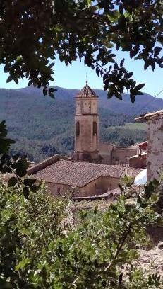 Arboli House | Cal Estevet