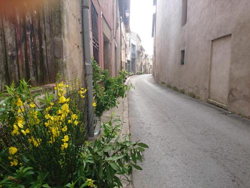 Castelltercol Apartment | Cal Ton