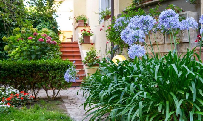 Tempio Pausania House | Calycanto