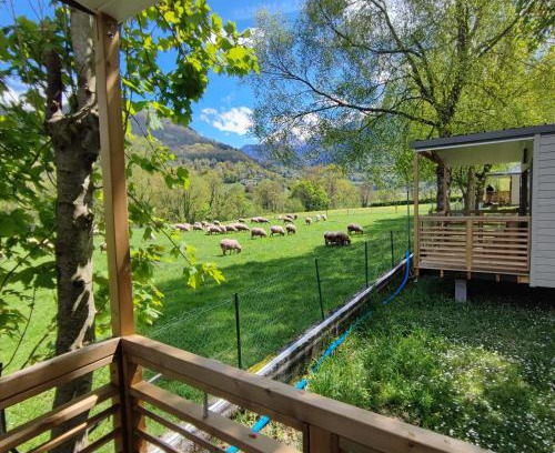 Laruns Other | Camping Ayguebère
