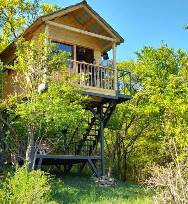 Mirzaani Other | Camping Eagle Canyon