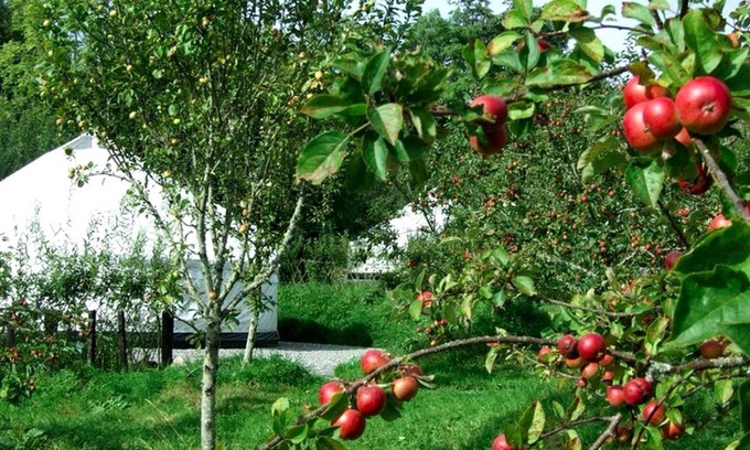 Drumkeeran Other | Camping ∙ 1 bedroom ∙ 6 guests
