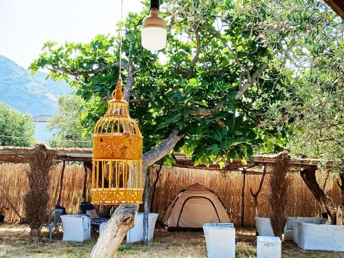 Qeparo Other | Camping Ullishtja