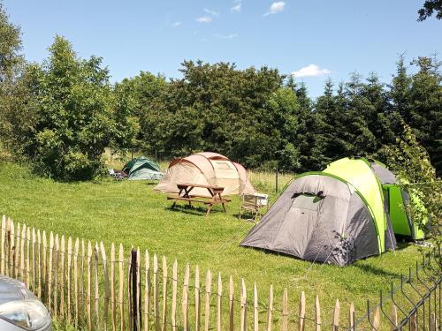 Mirsk Other | CAMPING, zabierz WŁASNY NAMIOT Kameralne pole namiotowe z basenem kinem plenerowym miejscem na ognisko i placem zabaw żywe zwierzęta agroturystyka