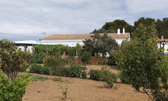 Pilar de la Mola House | Can Joan Barber, 1