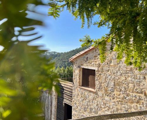 Sant Joan de Les Abadesses House | Can Sau