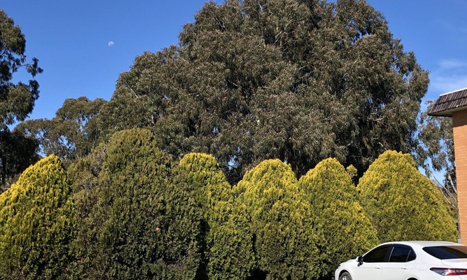 Lyneham Hotel | Canberra Lyneham Motor Inn